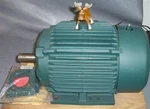 Reliance Electric P18G3396D Duty Master Motor Hp Ph Xe 1750 Rpm. Fixed Price $900.17.