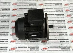Lafert Ac Motor AM80ZCA4. Fixed Price $1818.18.