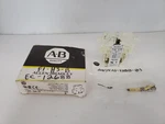 Allen Bradley 195-GA10 Auxiliary Switch Contact Block 1NO Series Nib. Fixed Price $18.96.