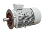 Siemens 1LA91892WA99-ZN60 Electric Motor 37KW 60HZ 575V 48A 3550RPM -unused-. Fixed Price $8136.34.