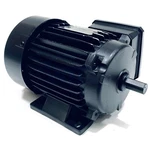 ST63S2 Lafert 1/3 Hp, 3600 Rpm, 230V, 460V. Fixed Price $199.97.