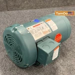 Wattsaver C145T17FK27E Electric Motor, 2HP, 1745 Rpm, 230/460V, 3PH, Tefc. Fixed Price $330.00.