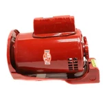 Xylem-bell & Gossett 169230 P-p 3/4HP 1PH. Fixed Price $2031.05.
