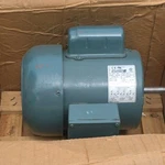 Reliance Electric 3/4 Hp Induction Motor Tefc 115/208/230V Single Phase 1740 Rpm. Fixed Price $250.00.