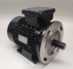 Kaiser Motoren DLPE-90/2 Used Electric 3060869-19 3PH 2885/3500RPM. Fixed Price $467.50.