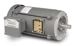 Baldor PSC3416A Motor 48Z Teao .33HP 115/230V 1625RPM Steel F1 Connection. Fixed Price $614.45.