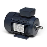 Marathon Motors R313A Iec Hp 230/460V Aluminum 3-PHASE Tefc B3. Fixed Price $700.76.