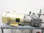 Fogco Gpm Pump Baldor Super-e Motor CEM3615T & General TSF1819 System. Fixed Price $1099.99.