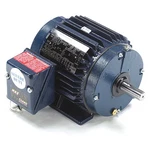 Leeson 145TTTN16628 Three-phase Severe Duty Motor, Hp, Frame, 230/460V. Fixed Price $619.99.