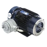 Leeson 145TTGN6549 Hazloc Motor, Hp, 1755 Rpm, 230/460V. Fixed Price $1061.99.