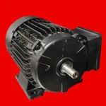 Lafert St 71S2 Motor, 0.75HP, 3380 Rpm, 208-230/440-460V. Fixed Price $339.15.