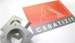 Shop Fox D3379 Carbide Inserts For Spiral Cutterhead. Fixed Price $39.99.