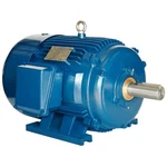 Hp Electric Motor 1200 Rpm, 3-PHASE, Tefc, North American PE215T-5-6. Fixed Price $1028.10.