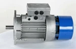 New F100LA4-870 Coel Motori 2.2KW Electric. Fixed Price $399.00.