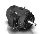 Techtop GR3-AL-TF-215JM-2-B-D-15 Pump Motor Hp 3600 Rpm 3PH 230/460 V. Fixed Price $1858.14.