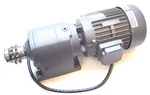 Flender Electric Chain Drive Thermoschutz Motor 115V 3400 Rpm 60 Hz. Fixed Price $215.00.