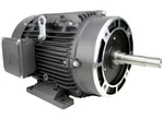 Techtop XR3-AL-TF-184JM-2-B-D-5 Pump Motor Hp 3600 Rpm 3PH 230/460 V. Fixed Price $1058.00.