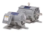 Teco DTP0024 General Purpose Motor Three Phase Hp 230/460 Volt 145T Frame. Fixed Price $368.66.