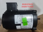 Marathon - 056H17T2018 Vector Motor 1/2 Hp, 230/460V Ac. Fixed Price $290.00.