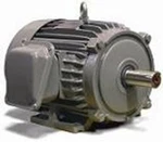 Teco-westinghouse Premium Severe Duty Electric Motor NP0036. Fixed Price $279.99.
