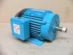 Brook Hansen 5825205BW-00 1HP 575V-AC 1720RPM W-DA143T-E Induction Motor. Fixed Price $399.99.