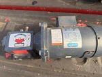 New Leeson Motor 1750 Rpm W/ Groove Gear Reducer # GR-TMQ-813-30-R-56 C42D17FK2D. Fixed Price $499.99.