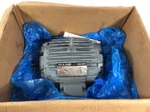 Reuland 0240H-1LLN-0003 Double Shaft Electric Torque Motor Ph 145TZ Frame 460V. Fixed Price $196.20.