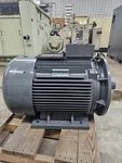 Fs Curtis Electric Motor 100HP 230/460V NXD75 2106023461. Fixed Price $4900.00.