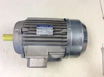 Neri Motori T100B4 21064391005 230/240/260/280/400/415/440/480 Vac 4.8 Hp. Fixed Price $386.99.